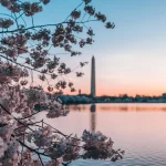 dc