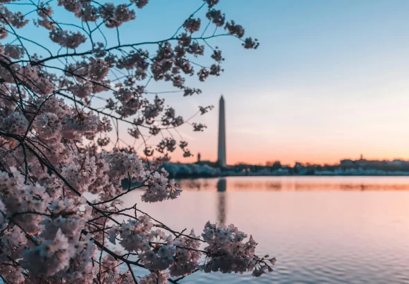 dc