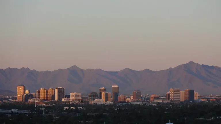 phoenix